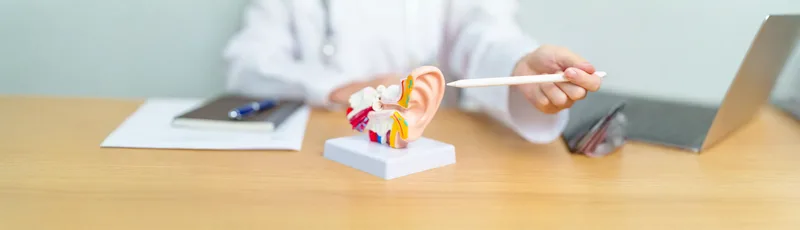 Ear, Nose and Throat Program