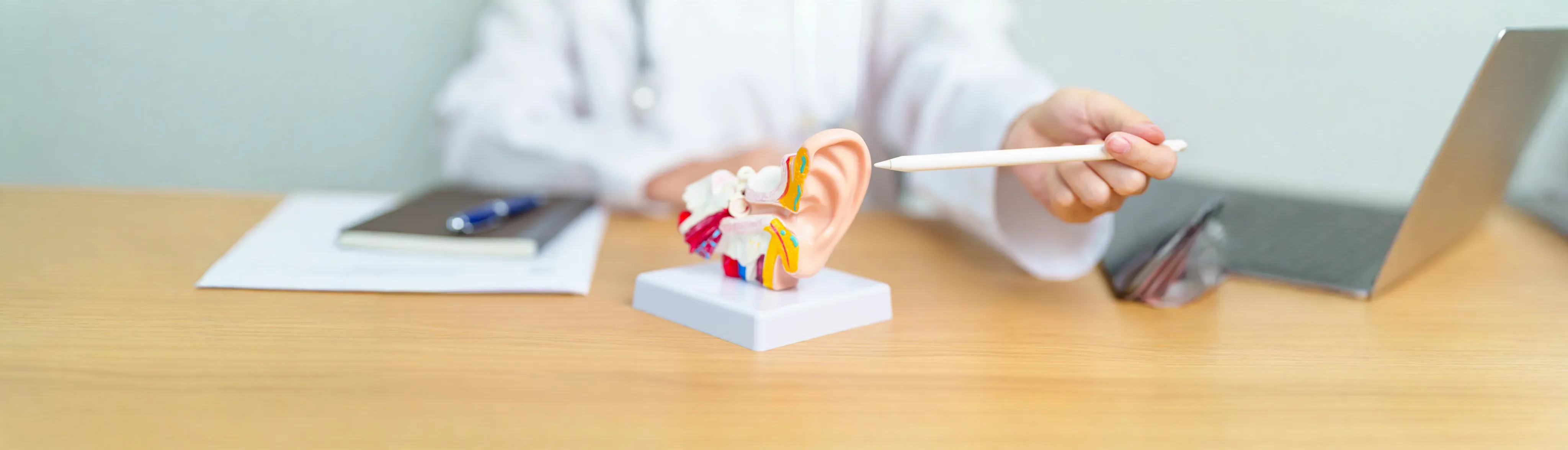 Ear, Nose and Throat Program