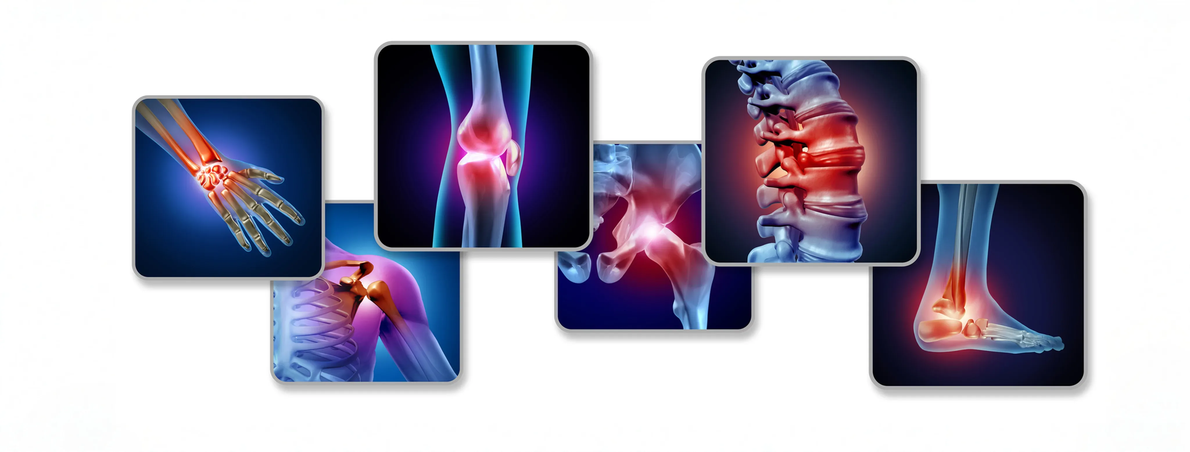 Orthopedic Program