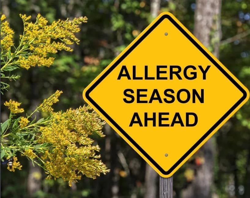 TIPS TO PREVENT SPRING ALLERGIES
