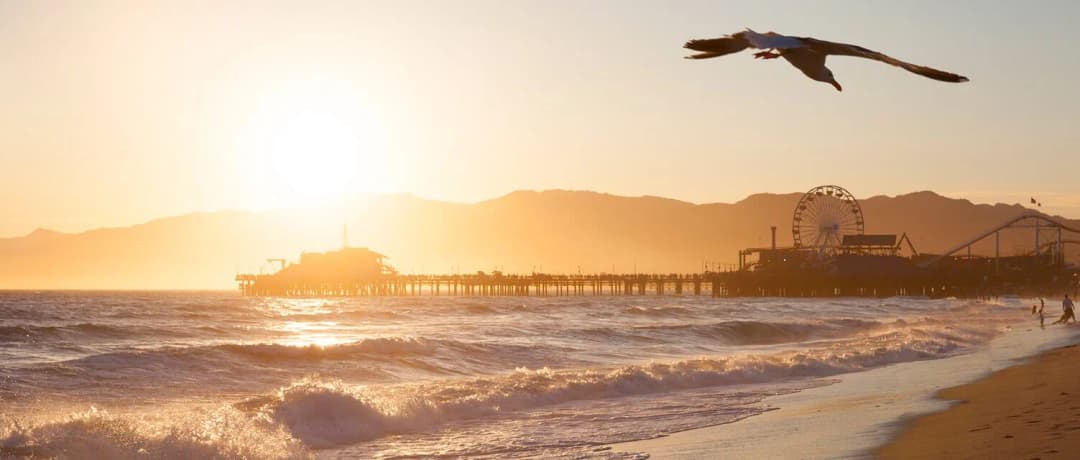 SUMMER SAFETY TIPS